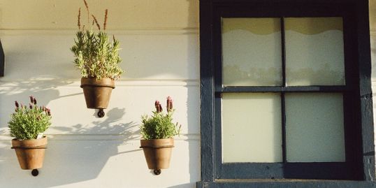 image-placeholder